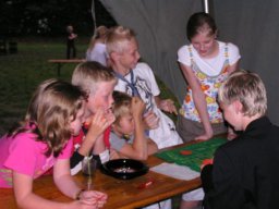 Goldenstedt 2008