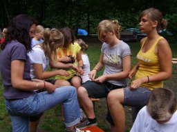 Goldenstedt 2008